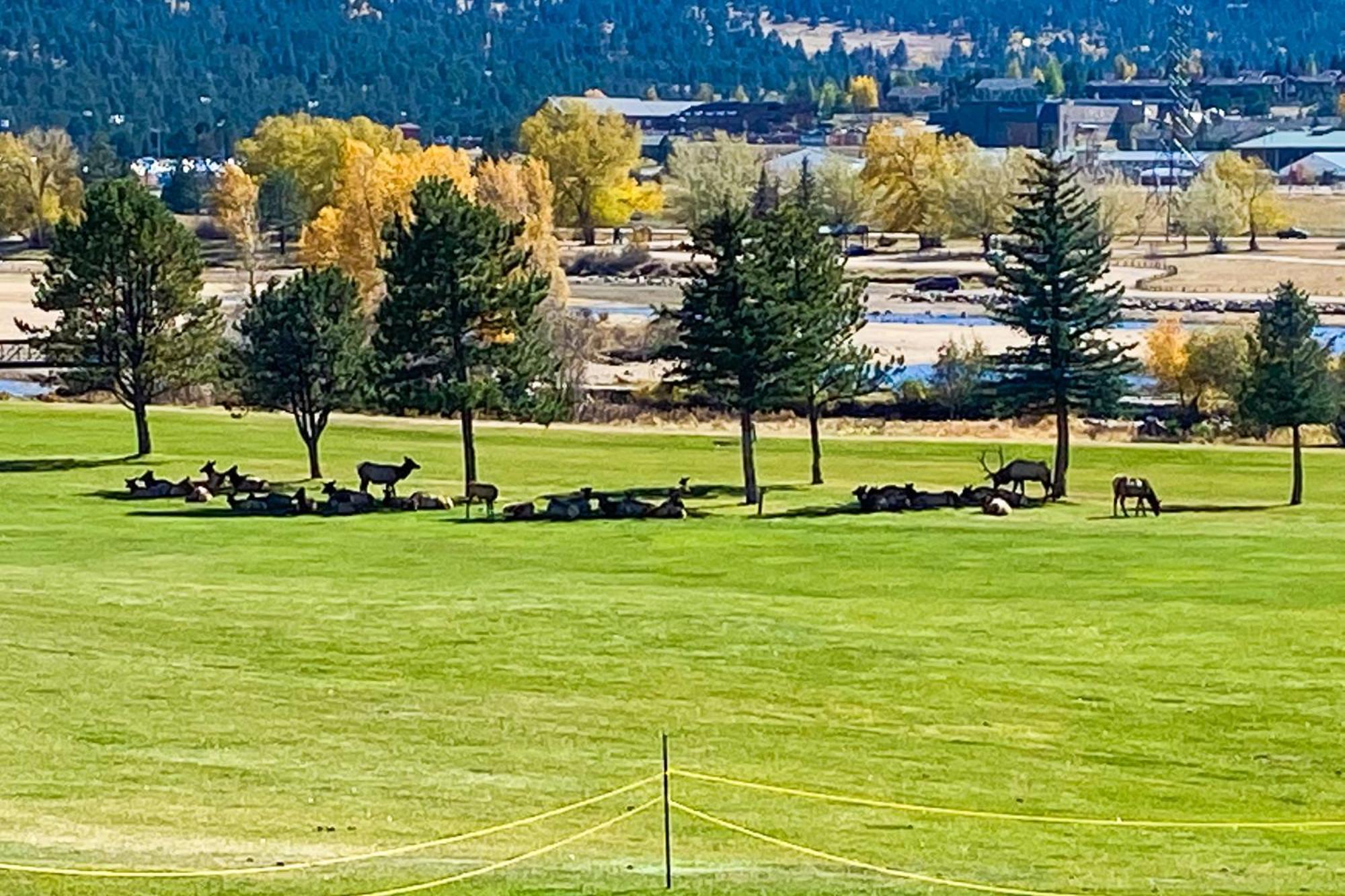 Fairways & 14Ers Βίλα Έστες Παρκ Εξωτερικό φωτογραφία